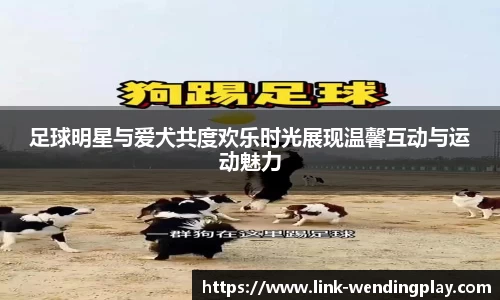 足球明星与爱犬共度欢乐时光展现温馨互动与运动魅力